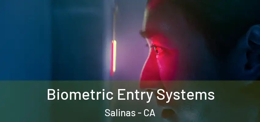  Biometric Entry Systems Salinas - CA